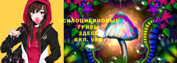 индика Нязепетровск