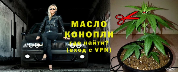 индика Нязепетровск