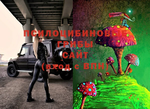 стафф Алзамай